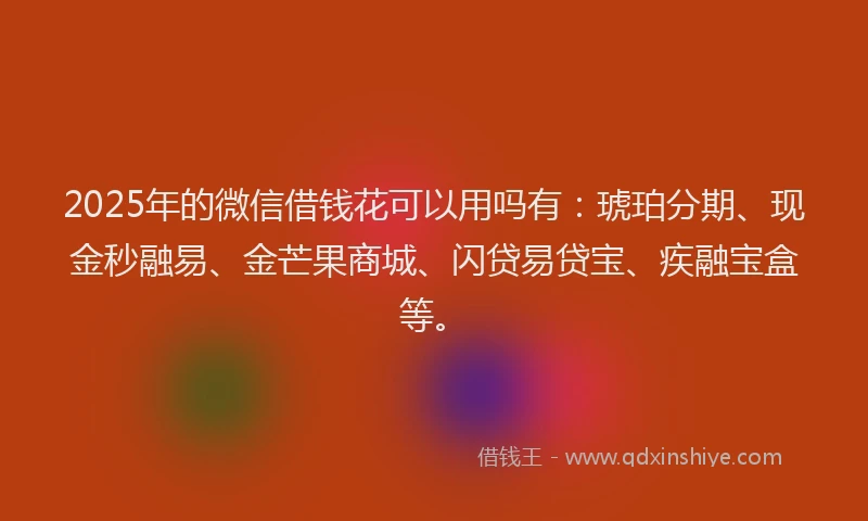 2025年的微信借钱花可以用吗有：琥珀分期、现金秒融易、金芒果商城、闪贷易贷宝、疾融宝盒等。