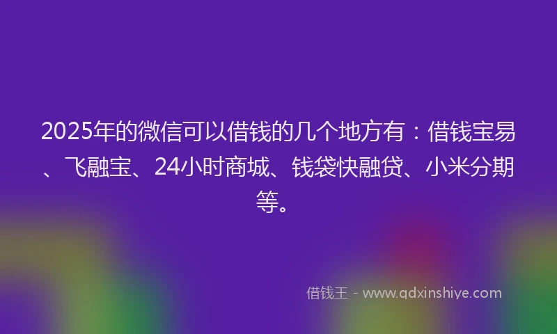 2025年的微信可以借钱的几个地方有：借钱宝易、飞融宝、24小时商城、钱袋快融贷、小米分期等。
