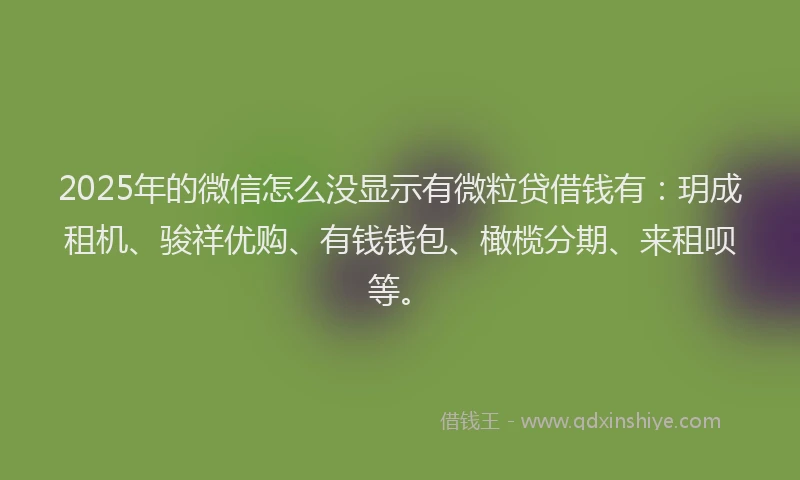 2025年的微信怎么没显示有微粒贷借钱有：玥成租机、骏祥优购、有钱钱包、橄榄分期、来租呗等。