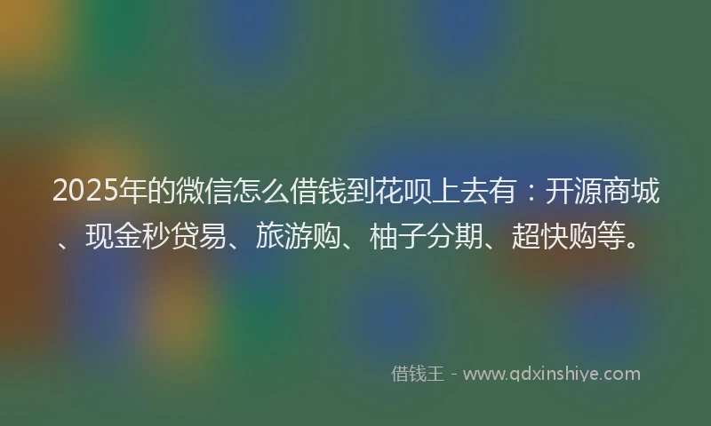 2025年的微信怎么借钱到花呗上去有：开源商城、现金秒贷易、旅游购、柚子分期、超快购等。