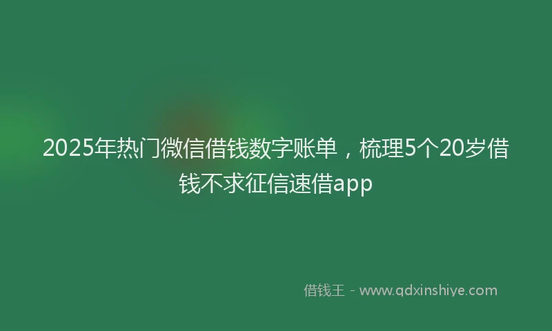 2025年热门微信借钱数字账单，梳理5个20岁借钱不求征信速借app