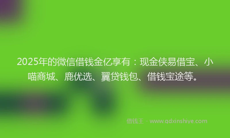 2025年的微信借钱金亿享有：现金侠易借宝、小喵商城、鹿优选、翼贷钱包、借钱宝途等。