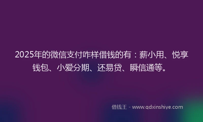 2025年的微信支付咋样借钱的有：薪小用、悦享钱包、小爱分期、还易贷、瞬信通等。