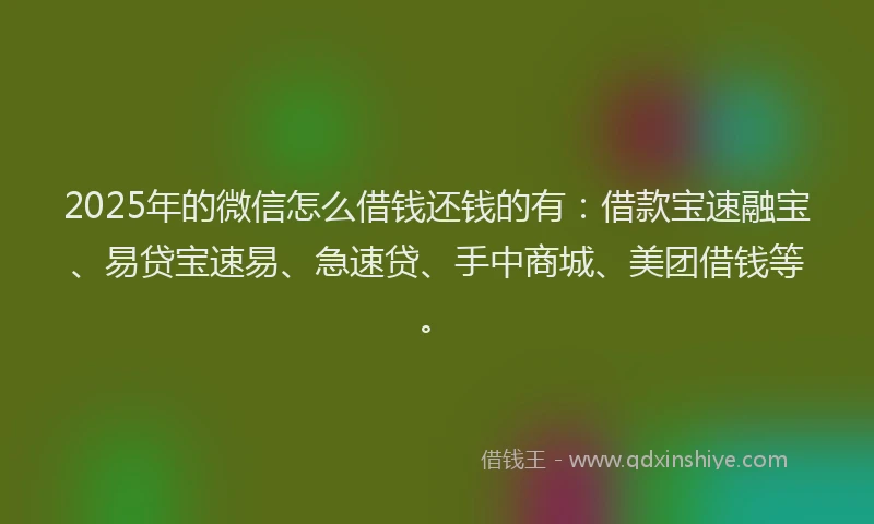 2025年的微信怎么借钱还钱的有：借款宝速融宝、易贷宝速易、急速贷、手中商城、美团借钱等。