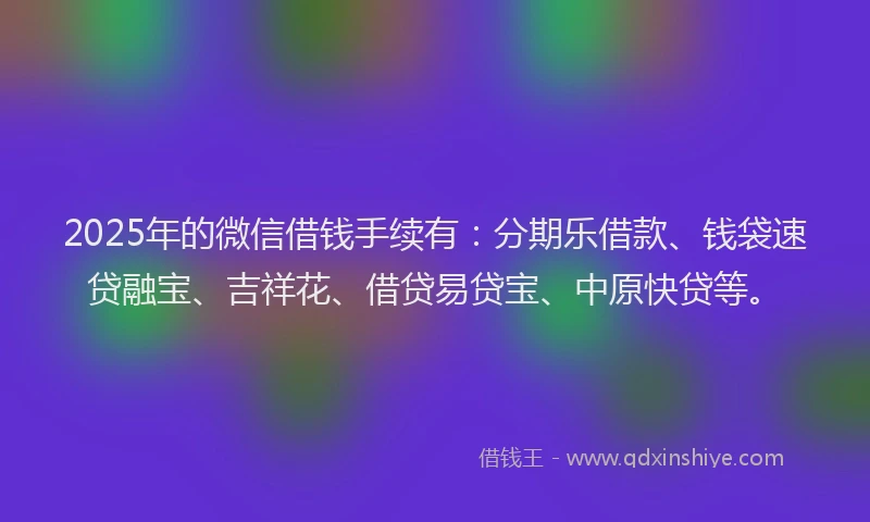 2025年的微信借钱手续有：分期乐借款、钱袋速贷融宝、吉祥花、借贷易贷宝、中原快贷等。