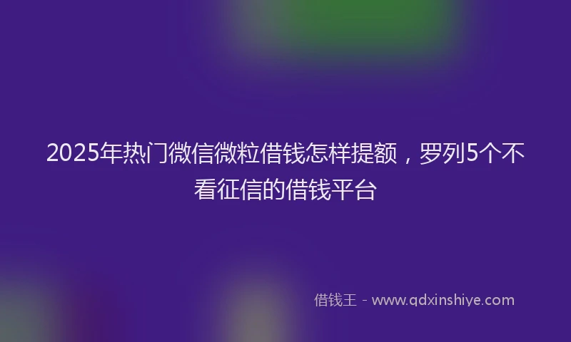 2025年热门微信微粒借钱怎样提额，罗列5个不看征信的借钱平台