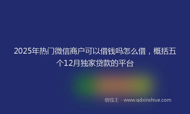 2025年热门微信商户可以借钱吗怎么借，概括五个12月独家贷款的平台