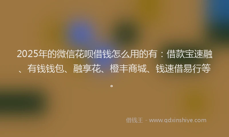 2025年的微信花呗借钱怎么用的有：借款宝速融、有钱钱包、融享花、橙丰商城、钱速借易行等。