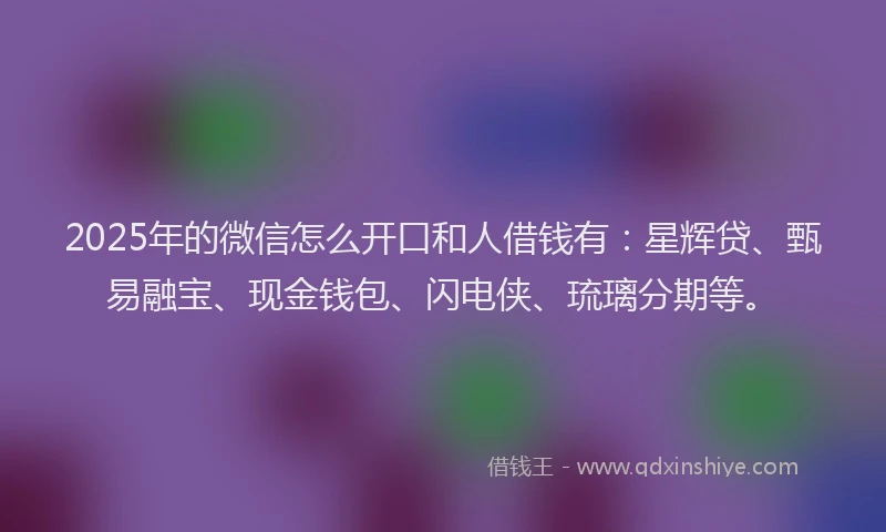 2025年的微信怎么开口和人借钱有：星辉贷、甄易融宝、现金钱包、闪电侠、琉璃分期等。