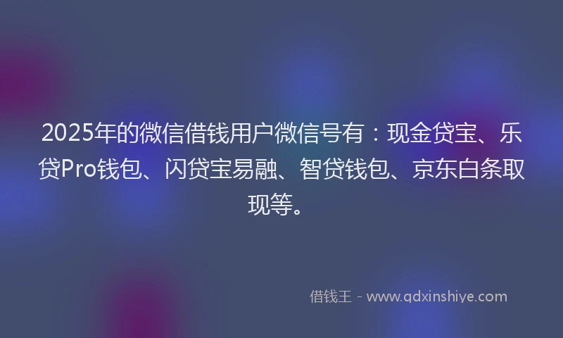 2025年的微信借钱用户微信号有：现金贷宝、乐贷Pro钱包、闪贷宝易融、智贷钱包、京东白条取现等。