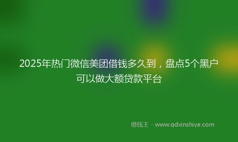 2025年热门微信美团借钱多久到，盘点5个黑户可以做大额贷款平台