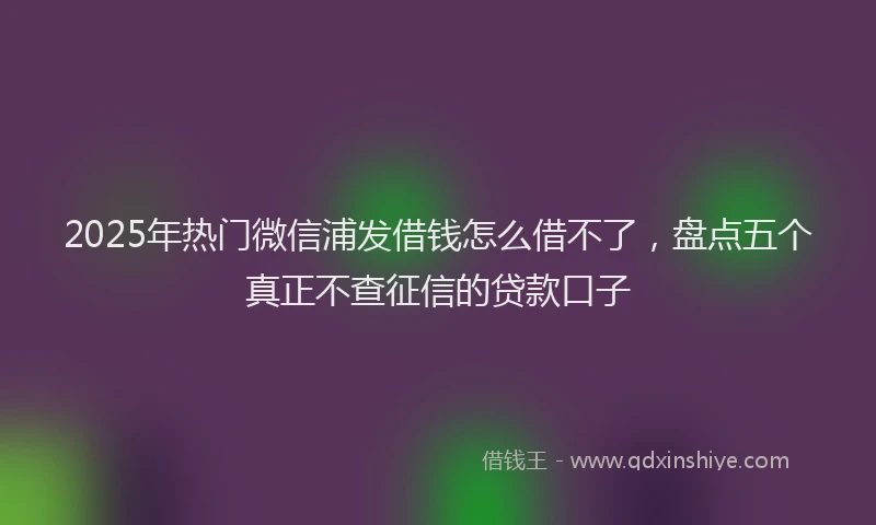 2025年热门微信浦发借钱怎么借不了，盘点五个真正不查征信的贷款口子