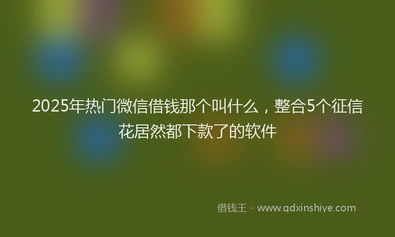 2025年热门微信借钱那个叫什么，整合5个征信花居然都下款了的软件