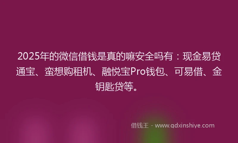 2025年的微信借钱是真的嘛安全吗有：现金易贷通宝、蛮想购租机、融悦宝Pro钱包、可易借、金钥匙贷等。