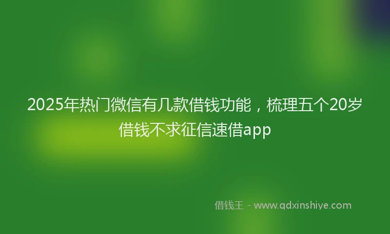 2025年热门微信有几款借钱功能，梳理五个20岁借钱不求征信速借app