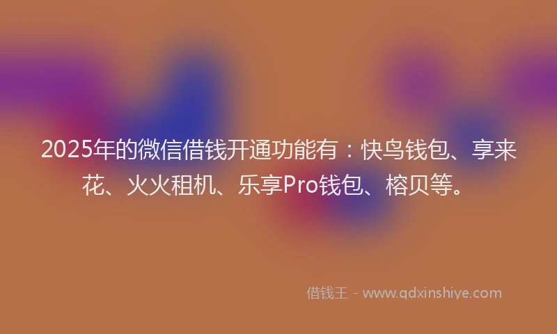2025年的微信借钱开通功能有：快鸟钱包、享来花、火火租机、乐享Pro钱包、榕贝等。