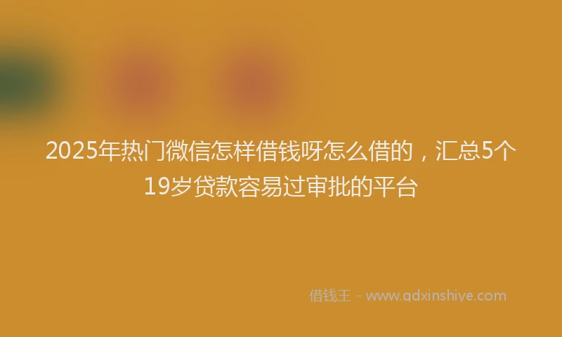2025年热门微信怎样借钱呀怎么借的，汇总5个19岁贷款容易过审批的平台