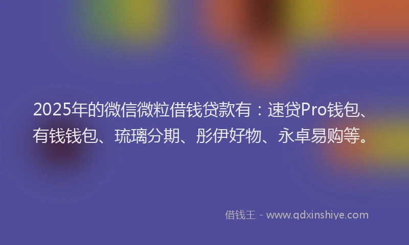 2025年的微信微粒借钱贷款有：速贷Pro钱包、有钱钱包、琉璃分期、彤伊好物、永卓易购等。