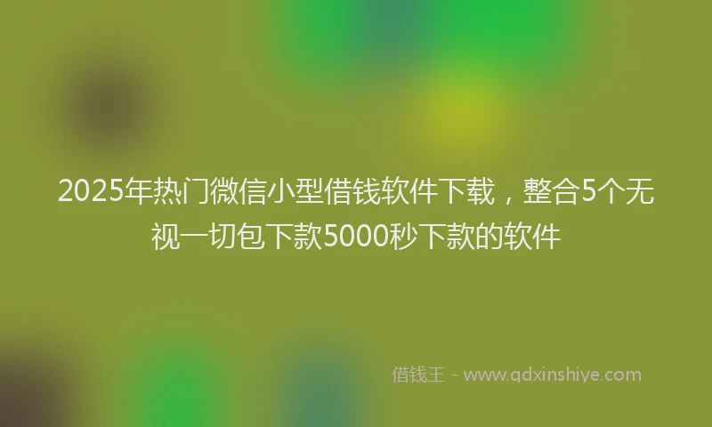 2025年热门微信小型借钱软件下载，整合5个无视一切包下款5000秒下款的软件