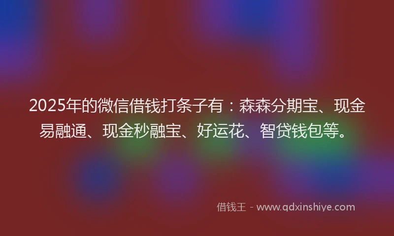 2025年的微信借钱打条子有：森森分期宝、现金易融通、现金秒融宝、好运花、智贷钱包等。