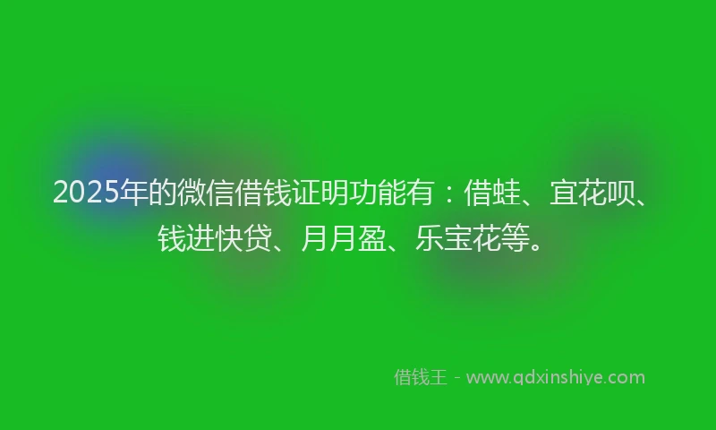 2025年的微信借钱证明功能有：借蛙、宜花呗、钱进快贷、月月盈、乐宝花等。