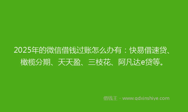 2025年的微信借钱过账怎么办有：快易借速贷、橄榄分期、天天盈、三枝花、阿凡达e贷等。