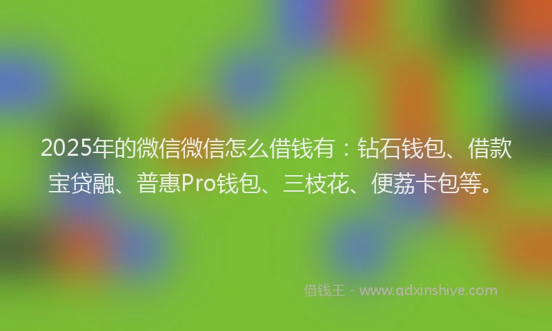 2025年的微信微信怎么借钱有：钻石钱包、借款宝贷融、普惠Pro钱包、三枝花、便荔卡包等。