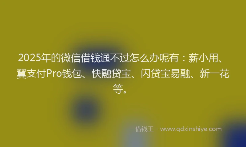 2025年的微信借钱通不过怎么办呢有：薪小用、翼支付Pro钱包、快融贷宝、闪贷宝易融、新一花等。