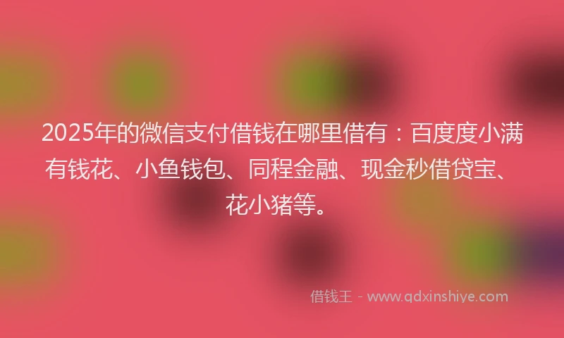 2025年的微信支付借钱在哪里借有：百度度小满有钱花、小鱼钱包、同程金融、现金秒借贷宝、花小猪等。