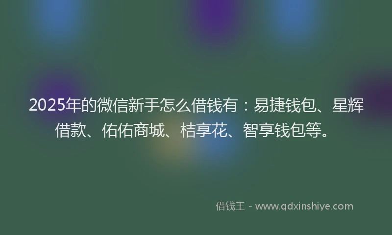 2025年的微信新手怎么借钱有：易捷钱包、星辉借款、佑佑商城、桔享花、智享钱包等。