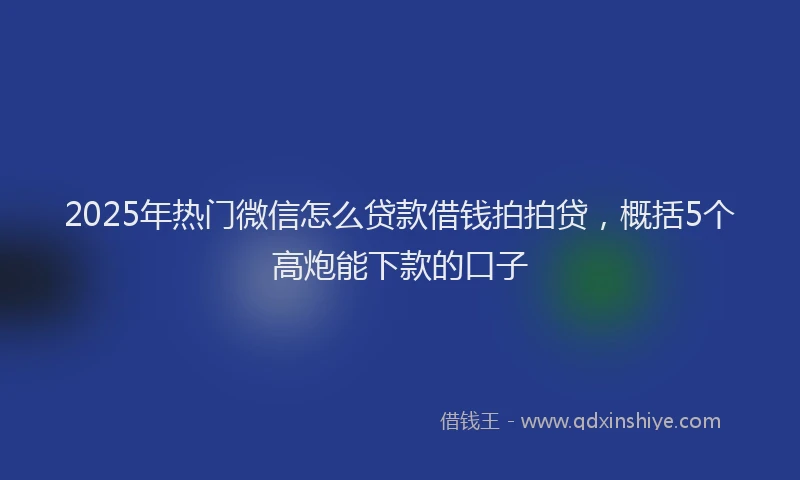 2025年热门微信怎么贷款借钱拍拍贷，概括5个高炮能下款的口子