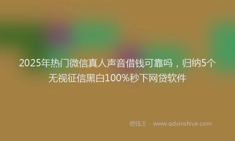 2025年热门微信真人声音借钱可靠吗，归纳5个无视征信黑白100%秒下网贷软件