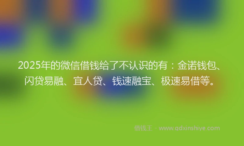 2025年的微信借钱给了不认识的有：金诺钱包、闪贷易融、宜人贷、钱速融宝、极速易借等。