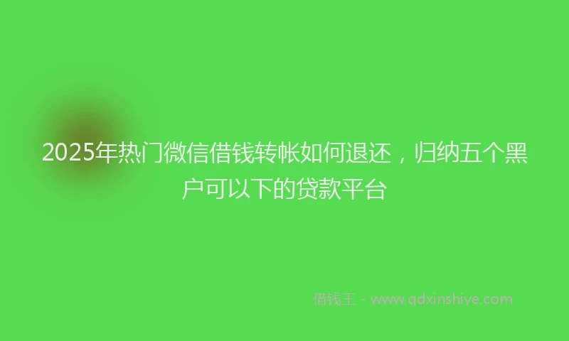 2025年热门微信借钱转帐如何退还，归纳五个黑户可以下的贷款平台
