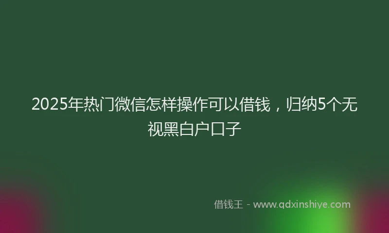2025年热门微信怎样操作可以借钱，归纳5个无视黑白户口子