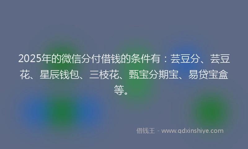 2025年的微信分付借钱的条件有：芸豆分、芸豆花、星辰钱包、三枝花、甄宝分期宝、易贷宝盒等。