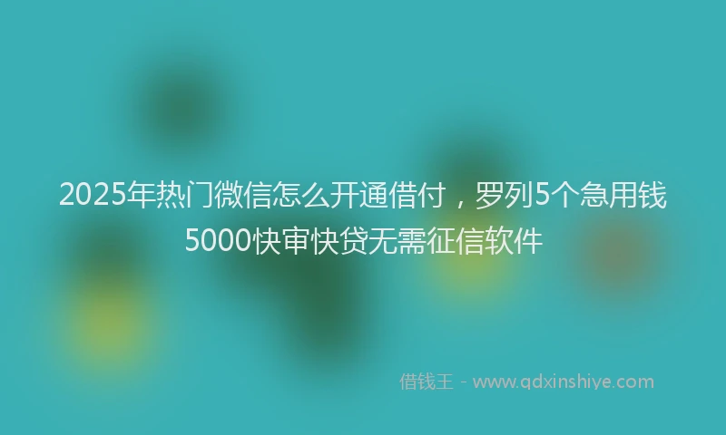 2025年热门微信怎么开通借付，罗列5个急用钱5000快审快贷无需征信软件