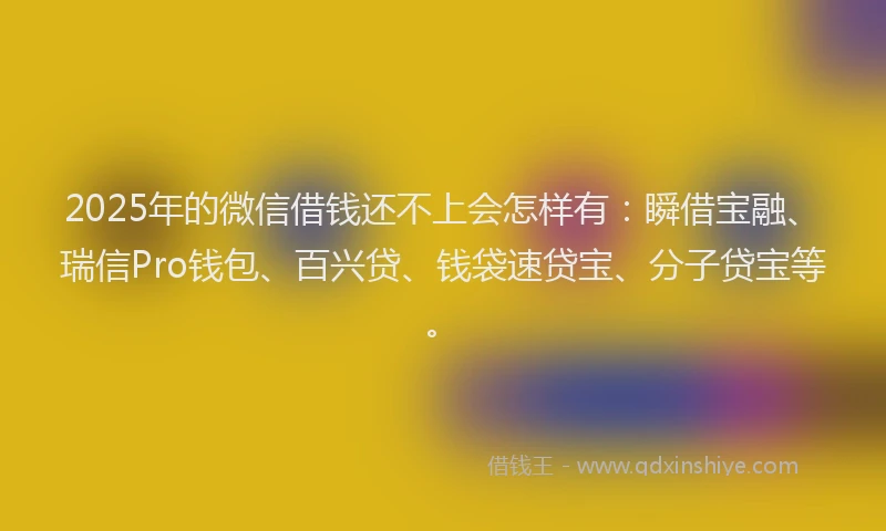 2025年的微信借钱还不上会怎样有：瞬借宝融、瑞信Pro钱包、百兴贷、钱袋速贷宝、分子贷宝等。