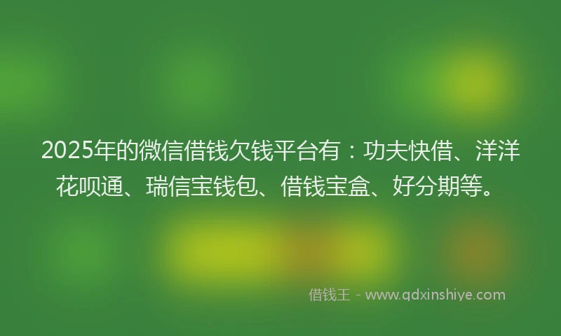 2025年的微信借钱欠钱平台有：功夫快借、洋洋花呗通、瑞信宝钱包、借钱宝盒、好分期等。
