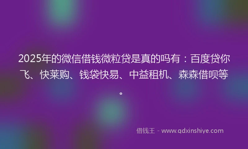 2025年的微信借钱微粒贷是真的吗有：百度贷你飞、快莱购、钱袋快易、中益租机、森森借呗等。