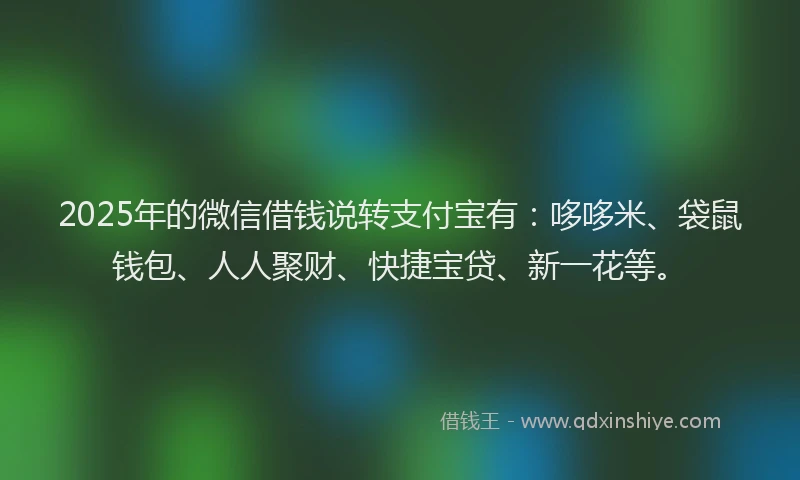 2025年的微信借钱说转支付宝有：哆哆米、袋鼠钱包、人人聚财、快捷宝贷、新一花等。