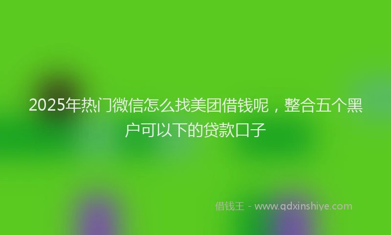 2025年热门微信怎么找美团借钱呢，整合五个黑户可以下的贷款口子