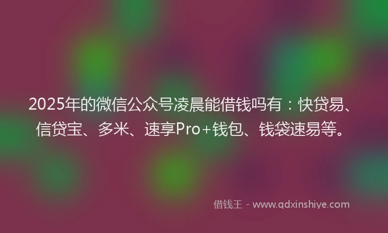 2025年的微信公众号凌晨能借钱吗有：快贷易、信贷宝、多米、速享Pro+钱包、钱袋速易等。