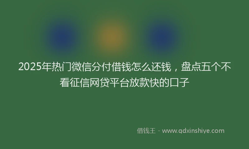 2025年热门微信分付借钱怎么还钱，盘点五个不看征信网贷平台放款快的口子