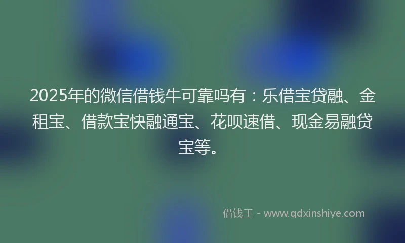 2025年的微信借钱牛可靠吗有：乐借宝贷融、金租宝、借款宝快融通宝、花呗速借、现金易融贷宝等。