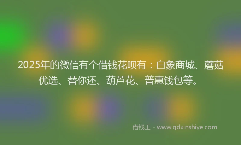2025年的微信有个借钱花呗有：白象商城、蘑菇优选、替你还、葫芦花、普惠钱包等。