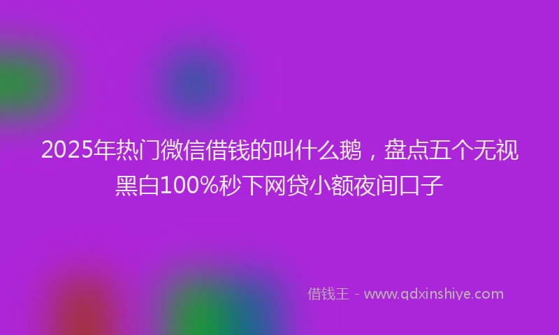 2025年热门微信借钱的叫什么鹅，盘点五个无视黑白100%秒下网贷小额夜间口子