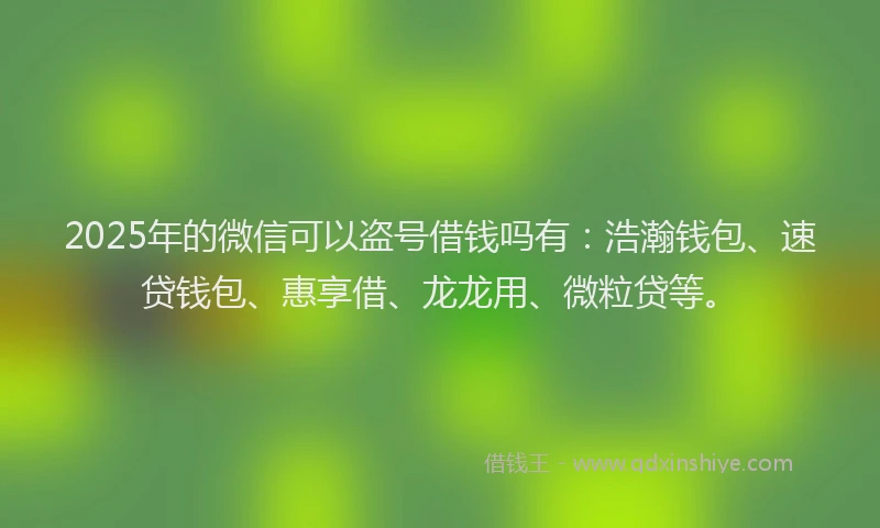 2025年的微信可以盗号借钱吗有：浩瀚钱包、速贷钱包、惠享借、龙龙用、微粒贷等。