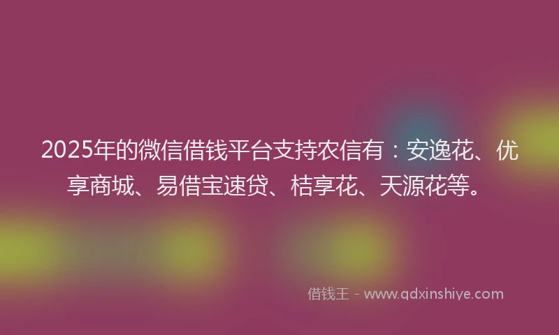 2025年的微信借钱平台支持农信有：安逸花、优享商城、易借宝速贷、桔享花、天源花等。