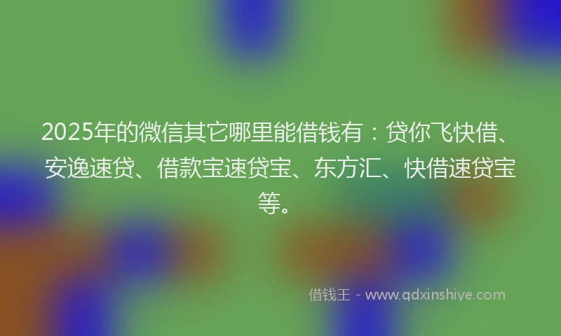 2025年的微信其它哪里能借钱有：贷你飞快借、安逸速贷、借款宝速贷宝、东方汇、快借速贷宝等。